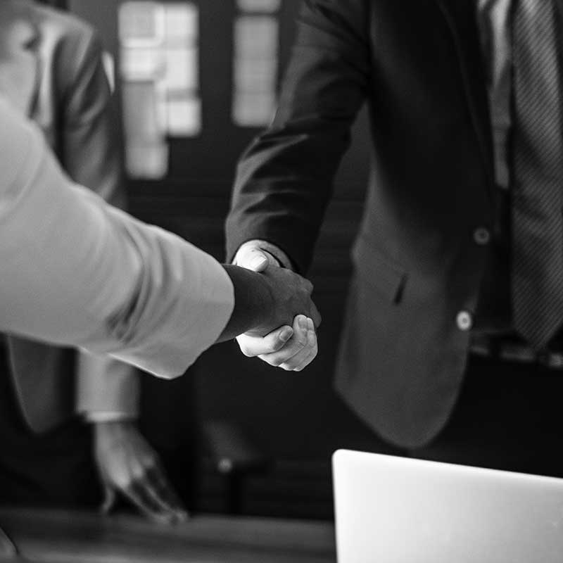 A handshake between two business people